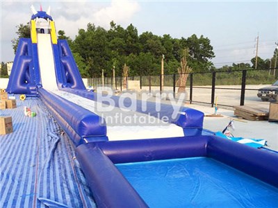Professional Manufacturer Hippo Giant Slide , Inflatable Slide Water BY-GS-011